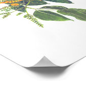 Narra (Pterocarpus indicus)Phフォレスト開花 ポスター (角)