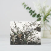 (((narrative))) ポストカード (スタンド正面)