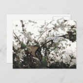 (((narrative))) ポストカード (正面/裏面)