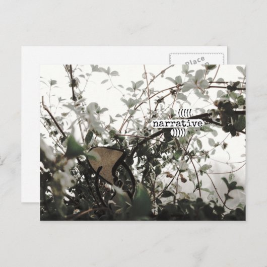 (((narrative))) ポストカード (正面/裏面)