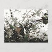 (((narrative))) ポストカード (正面)