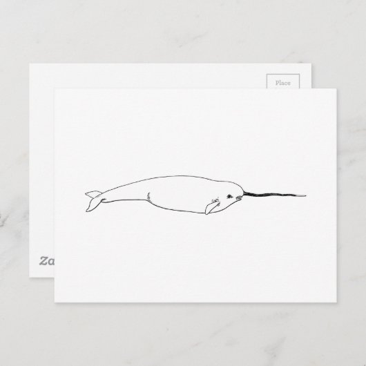Narwhal (線画のイラストレーション) ポストカード (正面/裏面)