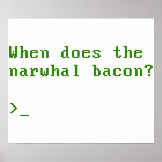 Narwhal Bacon VGA Redditに関する質問 ポスター (正面)