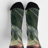 Narwhals, Vintage Marine Life Whales Ocean Animals ソックス (上部)