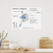 NASAの図宇宙サテライトパイオニア10 ポスター (キッチン)