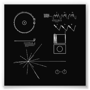 NASAの航海者のゴールドレコード フォトプリント