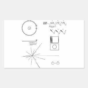 NASAの航海者のゴールドレコード 長方形シール