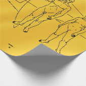 NASAパイオニア10宇宙プローブ金ゴールドプラーク ラッピングペーパー (角)