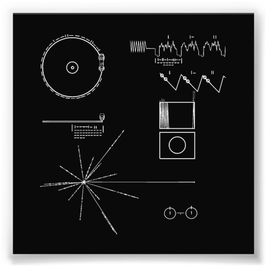 NASAボイジャーゴールデンレコード フォトプリント (正面)