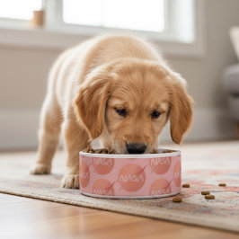 Nasaボウル ボウル