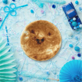 NASA天文台からの笑顔太陽のの太陽 ペーパープレート (パーティー)