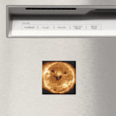 NASA天文台からの笑顔太陽のの太陽 マグネット (インサイチュ (食洗機))