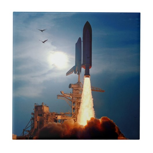 NASA スペースシャトル ディスカバリー 打ち上げ STS-64 タイル (正面)