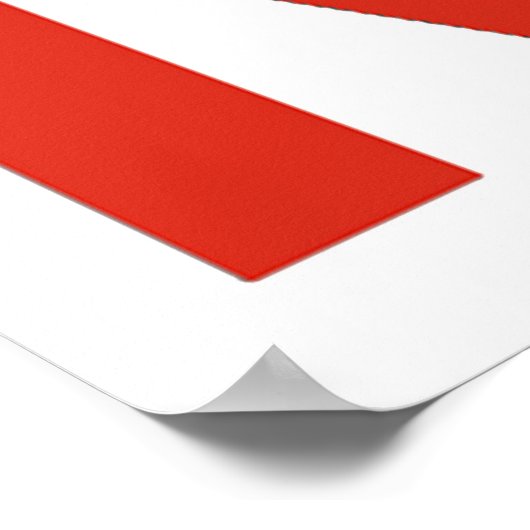 NASA Worm(Snake)ロゴ ポスター (角)