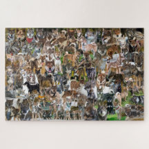 NASC 2022ジグソーパズル