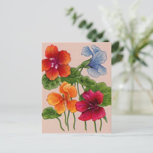 nasturtiumの複数形 ポストカード (スタンド正面)