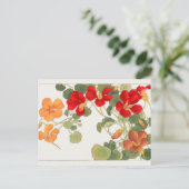 Nasturtium by谷上湖南 ポストカード (スタンド正面)