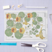 Nasturtium, Eugene Grasat's Botany Series 薄葉紙 (クラフト)