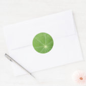Nasturtium Leafスタンプ ラウンドシール (封筒)