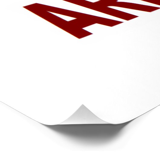 NAT-C ポスター (コーナー)