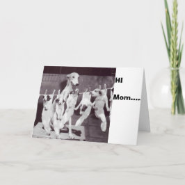 Nat Feinによる彼女の子犬'55と幸せなグレイハウンド カード