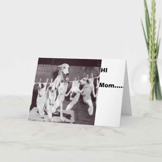 Nat Feinによる彼女の子犬'55と幸せなグレイハウンド カード (正面)