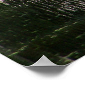 Natchez Trace Gator (1) ポスター (角)