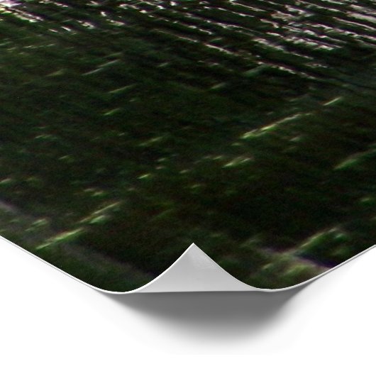 Natchez Trace Gator (1) ポスター (角)