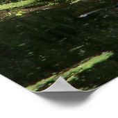 Natchez Trace Gator (3) ポスター (角)