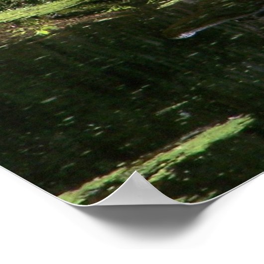 Natchez Trace Gator (3) ポスター (角)