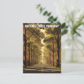 Natchez Trace Parkway ポストカード (スタンド正面)