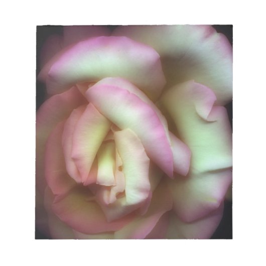  Nathan Griffith著 ノートパッド (正面)