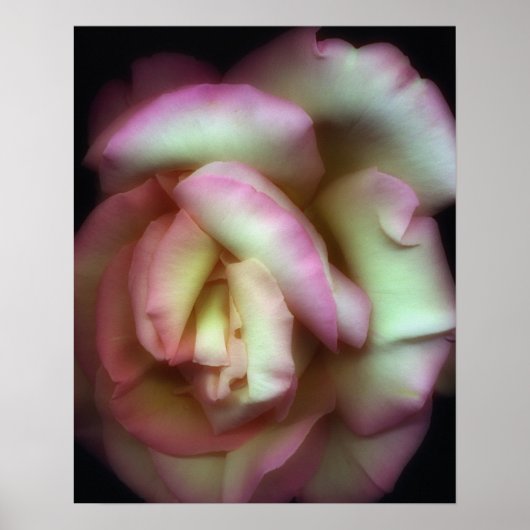  Nathan Griffith著 ポスター (正面)