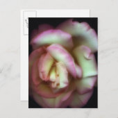  Nathan Griffith著 ポストカード (正面/裏面)