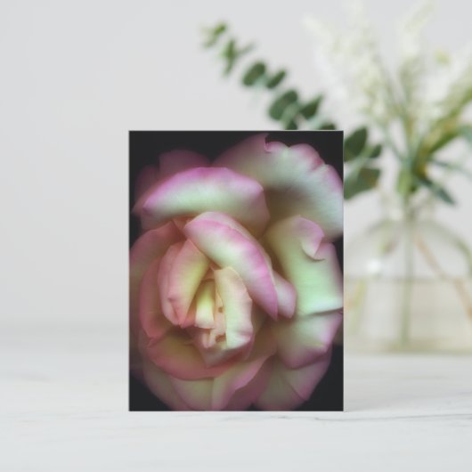  Nathan Griffith著 ポストカード (スタンド正面)