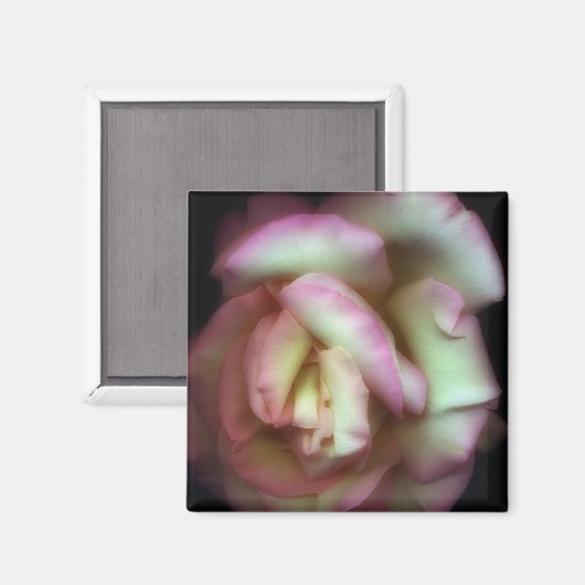  Nathan Griffith著 マグネット (正面/裏面)