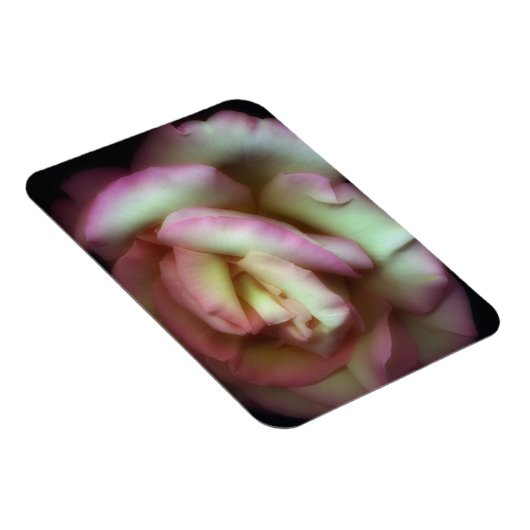  Nathan Griffith著 マグネット (右側)