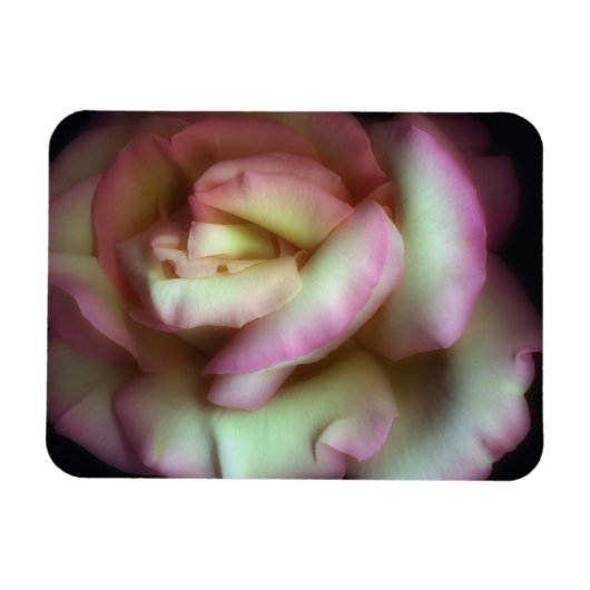  Nathan Griffith著 マグネット (横)