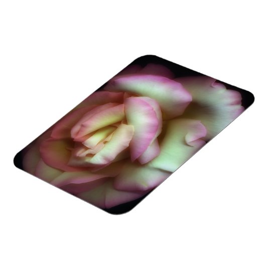  Nathan Griffith著 マグネット (左側)