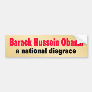 national_disgrace バンパーステッカー
