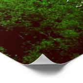 Native American Proverb ポスター (角)