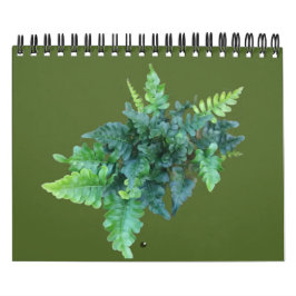 Native Plants - Pacific northwest カレンダー