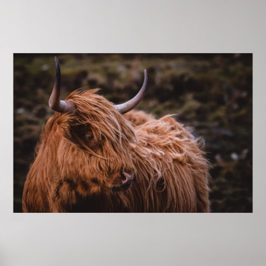 NATUによる劇的でインスパイア不機嫌な風景 ポスター (正面)