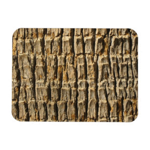 Natural カッコいい Surfaces_Palm Tree樹皮 マグネット