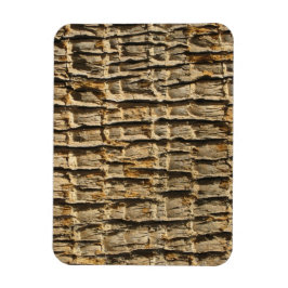 Natural カッコいい Surfaces_Palm Tree樹皮 マグネット
