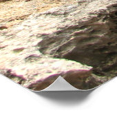 Natural Bridge in Aruba，写真 ポスター (角)