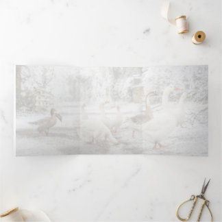 natural Christmas 三つ折り案内状