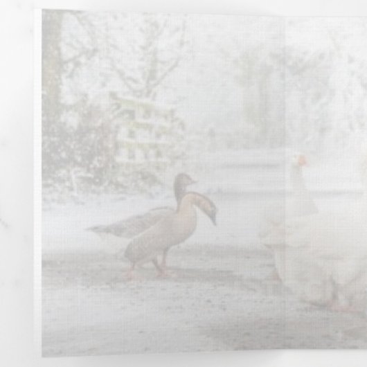 natural Christmas 三つ折り案内状 (内部最初)