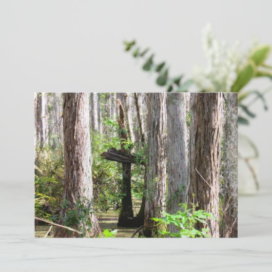 Natural Cross in the Swamp Flat Card カード (スタンド正面)