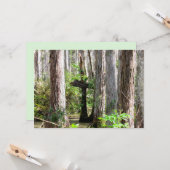 Natural Cross in the Swamp Flat Card カード (正面/裏面インサイチュ)